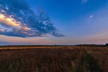 gökyüzünde bulutlar ve ay ile ufukta orman ile bir alanda sakin akşam manzara