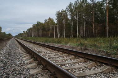 bulutlu sonbaharda ormanda eski demiryolu