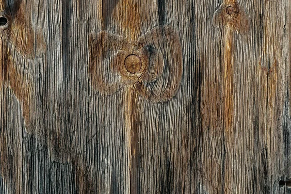 Текстура срубленного дерева. Деревянный природный фон — стоковое фото