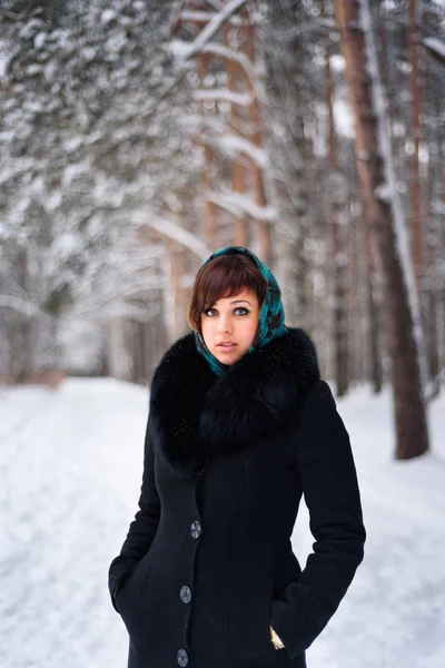 Rosyjska dziewczyna w płaszczu i szalik w zimnej zimy — Zdjęcie stockowe