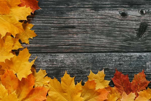 autumn frame of dry orange and yellow maple leaves on the background of old wooden boards