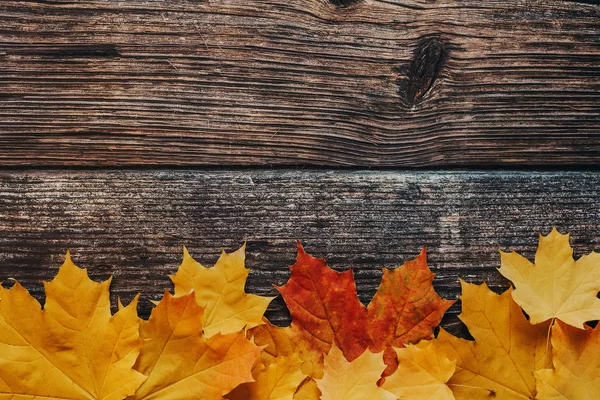 Textura de las tablas con un fondo de hojas de arce de otoño naranja —  Fotos de Stock
