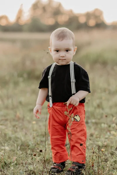 Baby boy standing in the field on the grass in summer — Stock Photo, Image