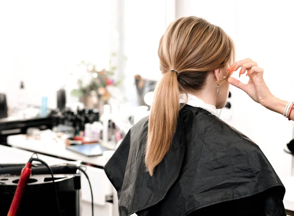 Menina com cabelo longo marrom com um penteado cauda — Fotografia de Stock