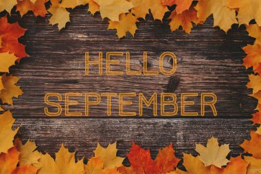 Yazıt Merhaba Eylül sonbahar akçaağaç yapraklı ahşap bir zemin üzerinde