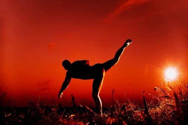 Silueta de un luchador masculino que realiza la técnica de karate en la naturaleza — Foto de Stock