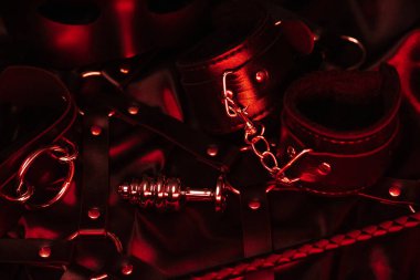 Kelepçeli, anal tıkaçlı, kamçılı BDSM seksi için aksesuar seti.