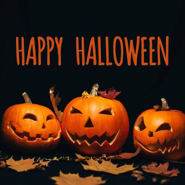 Üç Jack-o - akçaağaç yapraklı siyah bir zemin üzerinde fener kabağı