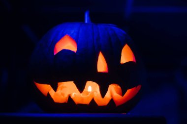 Cadılar Bayramı balkabağı feneri Sonbaharda gece Jack