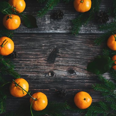 Noel aralığı mandallar, köknar dalları ve koniler