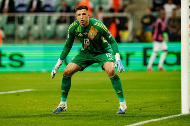 Anatoliy Trubin, Ukrayna ve Fransa milli takımları arasında oynanan 2026 Dünya Kupası ön eleme maçında görüldü (Maciej Rogowski / Ball Raw Images)