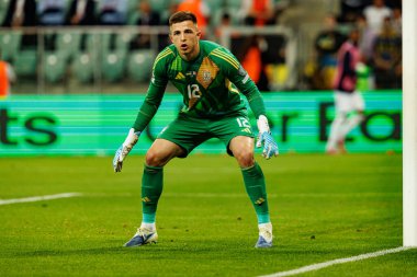 Anatoliy Trubin, Ukrayna ve Fransa milli takımları arasında oynanan 2026 Dünya Kupası ön eleme maçında görüldü (Maciej Rogowski / Ball Raw Images)