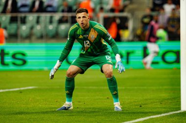 Anatoliy Trubin, Ukrayna ve Fransa milli takımları arasında oynanan 2026 Dünya Kupası ön eleme maçında görüldü (Maciej Rogowski / Ball Raw Images)