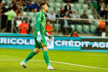 Anatoliy Trubin, Ukrayna ve Fransa milli takımları arasında oynanan 2026 Dünya Kupası ön eleme maçında görüldü (Maciej Rogowski / Ball Raw Images)