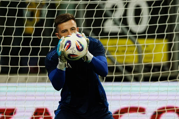 Anatoliy Trubin, Ukrayna ve Fransa milli takımları arasında oynanan 2026 Dünya Kupası ön eleme maçında görüldü (Maciej Rogowski / Ball Raw Images)