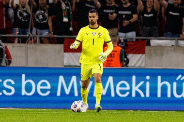 Diogo Costa seen  during World Cup 2026 European qualification game between national teams of Hungary and Poland (Maciej Rogowski/ Ball Raw Images)