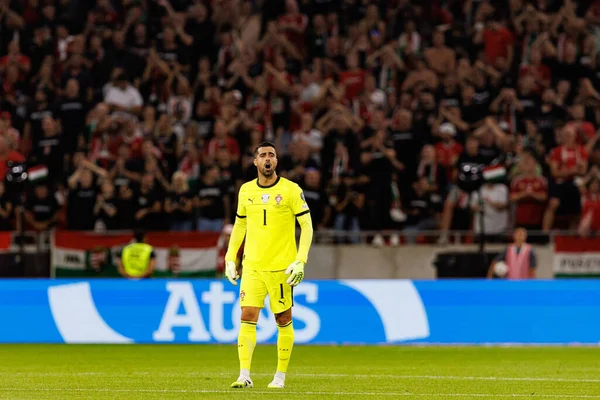 Diogo Costa seen  during World Cup 2026 European qualification game between national teams of Hungary and Poland (Maciej Rogowski/ Ball Raw Images)