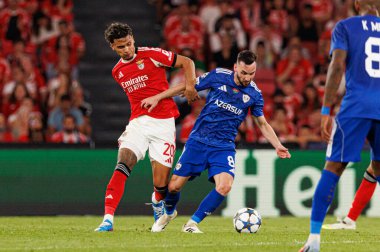 Richard Rios and Marko Jankovic seen during Champions League 25 26 league phase game between SL Benfica and Qarabag FK (Maciej Rogowski/ Ball Raw Images)