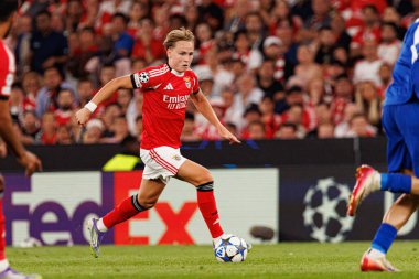 Andreas Schjelderup seen during Champions League 25 26 league phase game between SL Benfica and Qarabag FK (Maciej Rogowski/ Ball Raw Images)