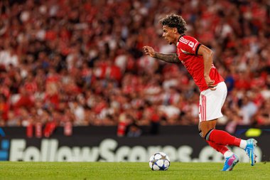 Richard Rios seen during Champions League 25 26 league phase game between SL Benfica and Qarabag FK (Maciej Rogowski/ Ball Raw Images)