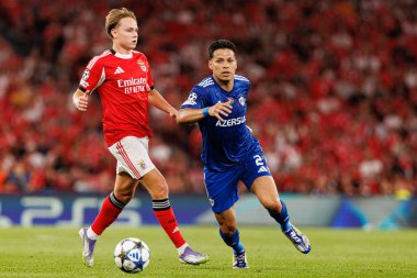  Andreas Schjelderup and Matheus Silva seen during Champions League 25 26 league phase game between SL Benfica and Qarabag FK (Maciej Rogowski/ Ball Raw Images)