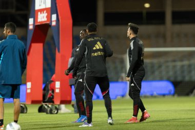 Players of Casa Pia seen during Liga Portugal game between teams of Casa Pia and FC Famalicao at Estadio Municipal Rio Maior (Maciej Rogowski/Ball Raw Images)
