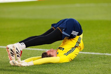 Cezary Miszta seen during Liga Portugal game between SL Benfica and Rio Ave FC (Ball Raw Images/ Maciej Rogowski)