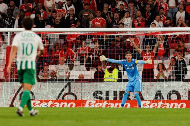 Cezary Miszta seen during Liga Portugal game between SL Benfica and Rio Ave FC (Ball Raw Images/ Maciej Rogowski)