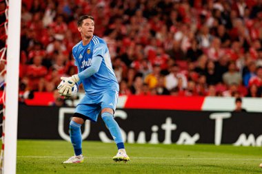 Cezary Miszta seen during Liga Portugal game between SL Benfica and Rio Ave FC (Ball Raw Images/ Maciej Rogowski)