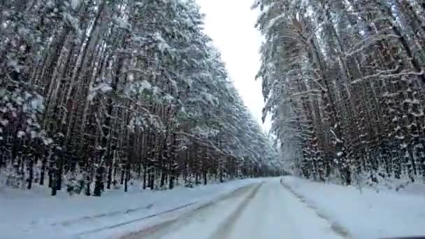 Punto de vista POV - Conducir en las montañas después de la tormenta de nieve . — Vídeos de Stock