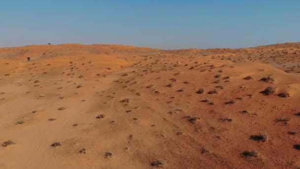 Antény. Pouštní krajina přízí v barvě camel. Písek, velbloudí a modrá obloha s mraky. Cestovní dobrodružství pozadí. — Stock video