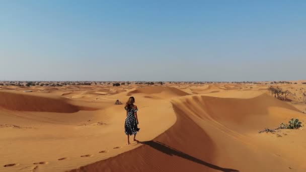 Antenne. eine frau im nebel in der wüstenlandschaft bei sonnenaufgang nahe dubai, uae — Stockvideo