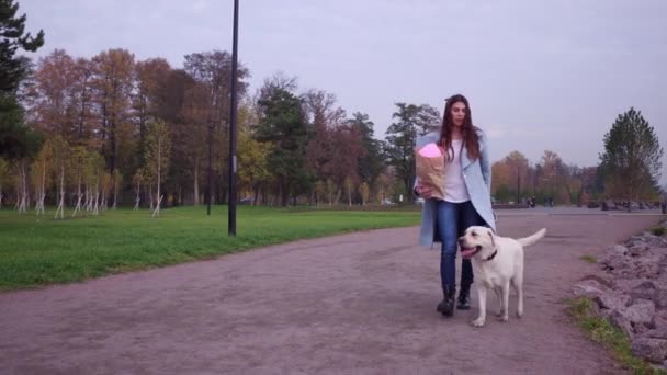 Schöne Frau in blauem Mantel und Labrador Retriever Hund beim Spazierengehen im Park. — Stockvideo