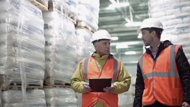 Trabajadores caminando y discutiendo inventario de stock contra estantes altos, en un almacén con lámparas brillantes . — Vídeos de Stock