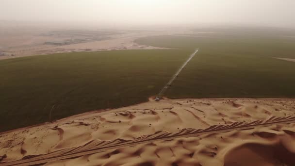 AERIÁLIS. Körkörös zöld öntözés foltok a mezőgazdaság a sivatagban. Dubai, Egyesült Arab Emírségek. — Stock videók