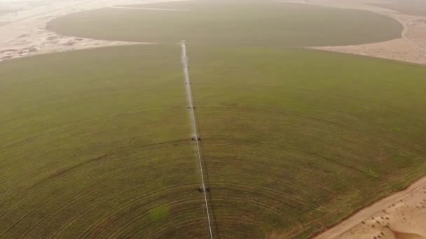 AERIAL. Manchas de irrigação circulares verdes para a agricultura no deserto. Dubai, EAU. — Vídeo de Stock