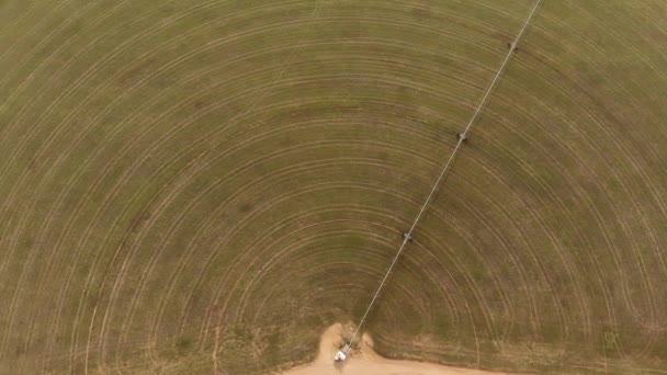 AERIAL. Kreisförmige grüne Bewässerungsflächen für die Landwirtschaft in der Wüste. Dubai, VAE. — Stockvideo
