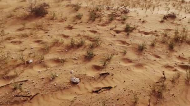 Antenne. Schneller Flug einer Drohne über Wüste. — Stockvideo
