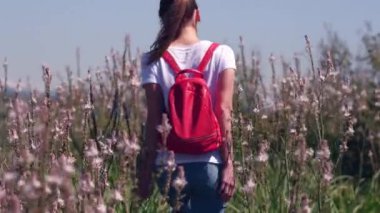 Arka planda ayakta güneş ışığında çiçekler ile bir alanda yaz arkaplan kız.