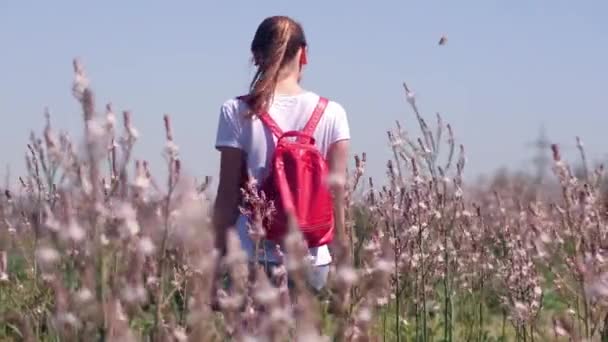 Sommer Hintergrund Mädchen in einem Feld mit Blumen im Sonnenlicht stehend mit dem Rücken. — Stockvideo