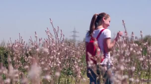 Nyári háttér lány egy olyan területen, virágok a napfény állt a hátán. — Stock videók