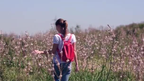 Estate sfondo ragazza in un campo con fiori alla luce del sole in piedi con la schiena . — Video Stock