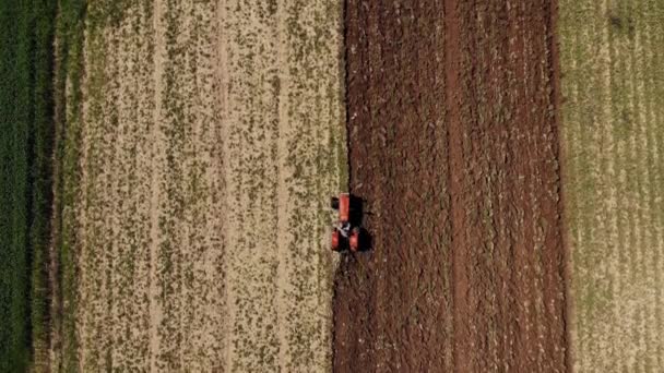 A traktor légi rálátása a terepre, mezőgazdasági szántóföldi munka, vetési munka a mezőn naplementekor — Stock videók