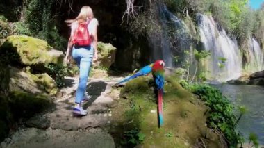 Genç kadın yolcu ormanlarda yürüyüş. Şelale oturan iki renkli papağan.