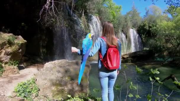 スローモーション。背景に滝のあるジャングルの中で若い女性の座っているオウム。女性と遊ぶ赤いオウム. — ストック動画