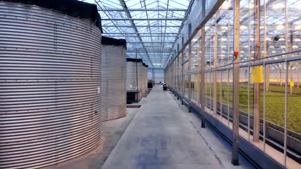 Indoors of modern greenhouse. Aerial view. — Stock Video