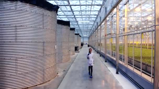フロントビューアジアの女性は、手にタブレットで、温室を歩いて。プロセスの制御. — ストック動画