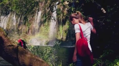 Yong kadın gezgin, ormanda papağan ve şelaleyle yürüyor..