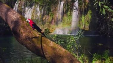 Tropikal ormanda bir dala tünemiş papağan görüntüsü..