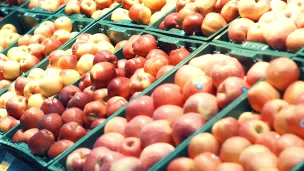 スーパー マーケットで果物の棚のクローズ アップ表示 — ストック動画